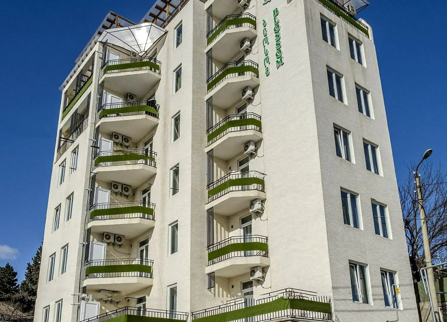 Blossom Inn Tbilisi Georgia
